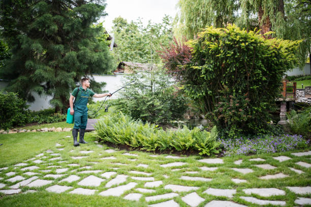 Best Spider Control Near Me  in Deer Park, IL