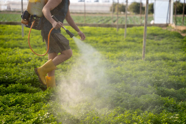 Best Best Pest Control Companies  in Deer Park, IL