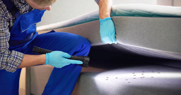 Pest Control for Restaurants in Deer Park, IL
