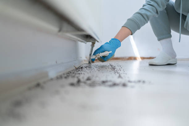 Best Affordable Pest Control Services  in Deer Park, IL